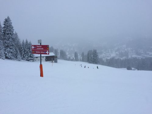 Lenzerheide, 26. Januar 2015

