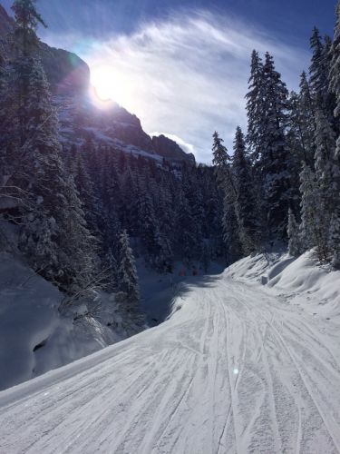 16. Februar 2015
