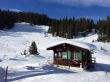 20150214-wengen-6949.jpg