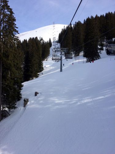 Lenk, 13.3.2015

