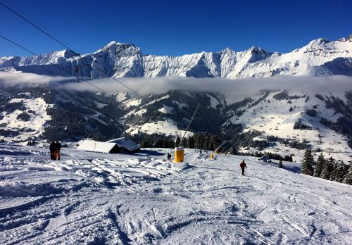 Elsigen/Metsch, 27.11.2015
