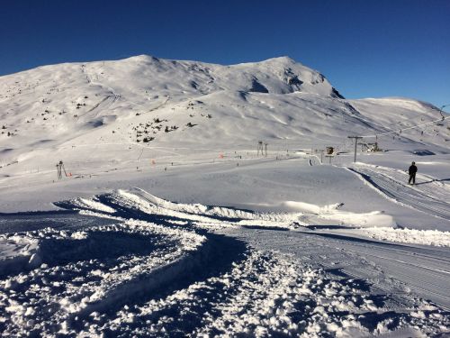 Elsigen/Metsch, 27.11.2015
