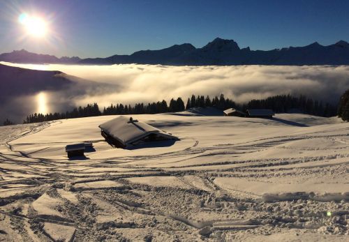 Elsigen/Metsch, 27.11.2015
