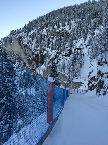 Elsigen/Metsch, 27.11.2015
