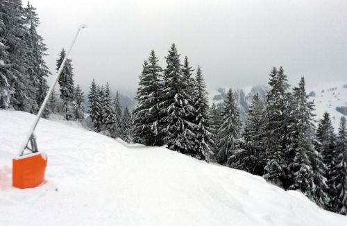 Elsigen/Metsch, 27.11.2015
