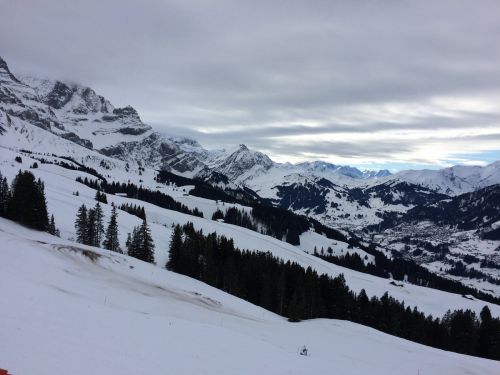 Elsigen/Metsch, 1.12.2015
