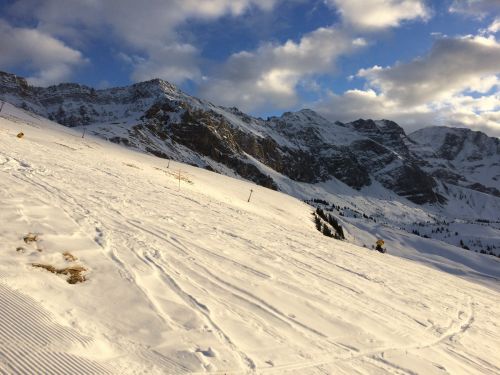 Elsigen/Metsch, 1.12.2015
