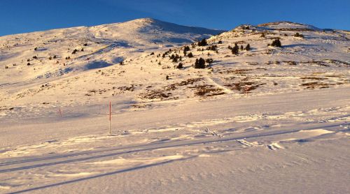 Elsigen/Metsch, 1.12.2015
