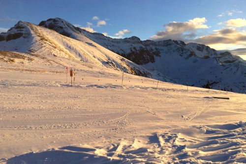 Elsigen/Metsch, 1.12.2015
