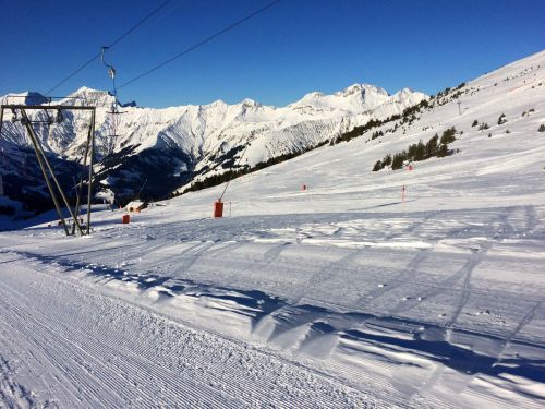 Elsigen/Metsch, 2.12.2015
