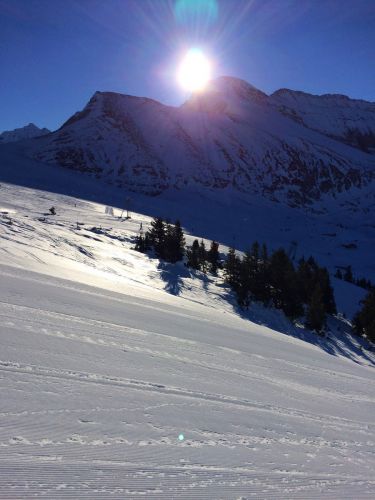 Elsigen/Metsch, 2.12.2015
