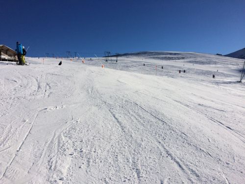 Elsigen/Metsch, 2.12.2015
