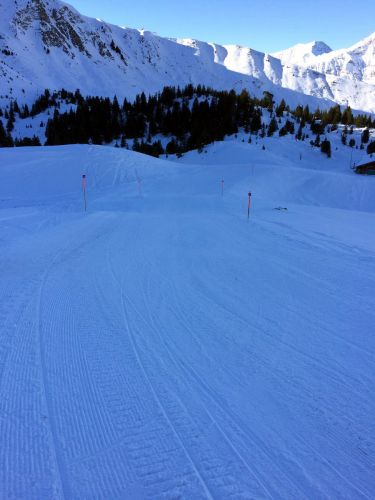 Elsigen/Metsch, 2.12.2015
