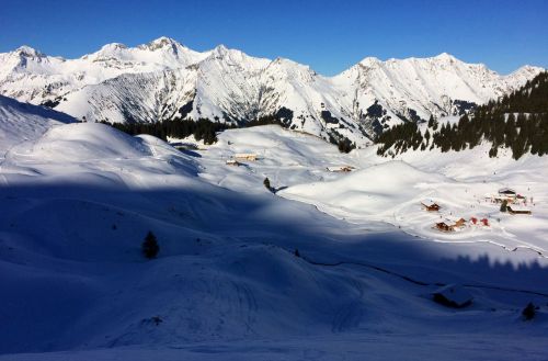 Elsigen/Metsch, 2.12.2015
