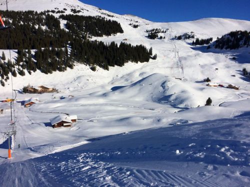 Elsigen/Metsch, 2.12.2015
