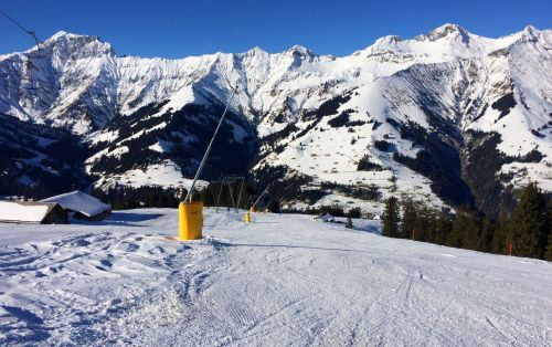 Elsigen/Metsch, 2.12.2015
