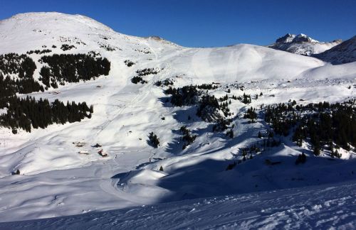 Elsigen/Metsch, 2.12.2015
