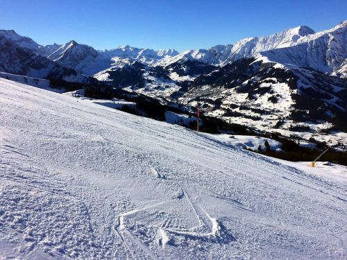 Elsigen/Metsch, 2.12.2015

