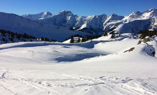 Elsigen/Metsch, 2.12.2015
