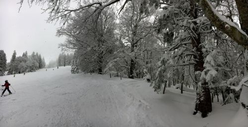 17. Januar 2016
