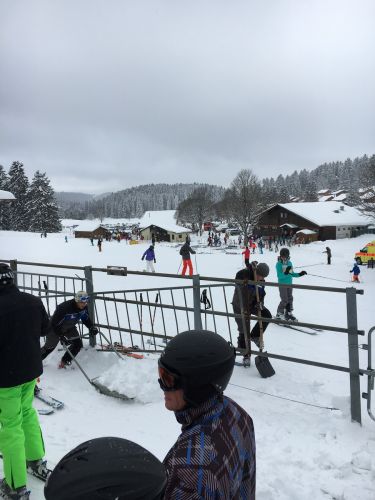 17. Januar 2016
