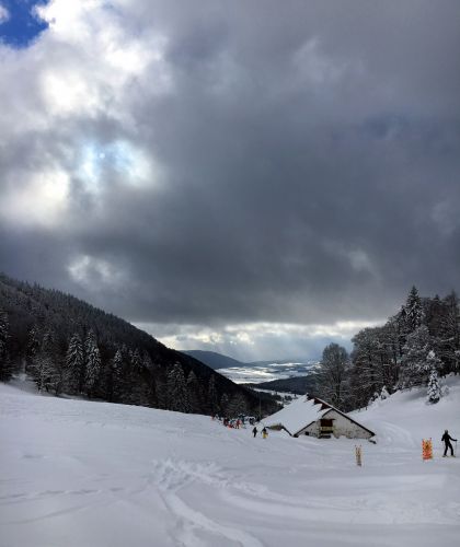 17. Januar 2016
