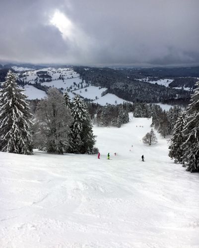 17. Januar 2016
