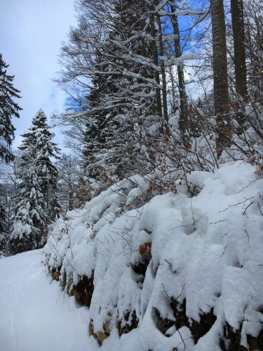 17. Januar 2016
