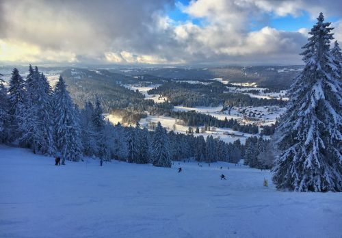 17. Januar 2016
