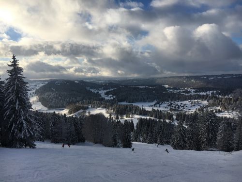 17. Januar 2016
