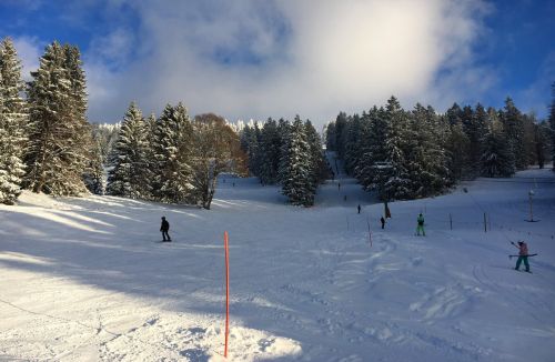 17. Januar 2016
