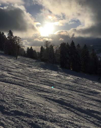 17. Januar 2016
