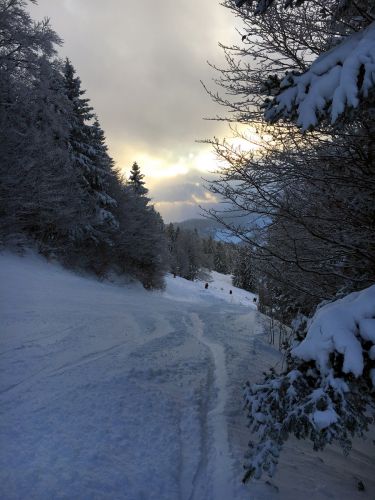 17. Januar 2016
