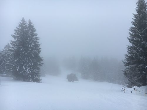 20. Januar 2016
