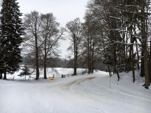 20. Januar 2016
