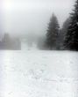 20160120-tramelan-0434.jpg