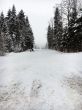 20160120-tramelan-0446.jpg