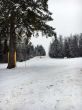 20160120-tramelan-0450.jpg
