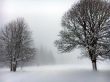 20160120-tramelan-0462.jpg