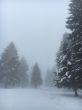 20160120-tramelan-0478.jpg