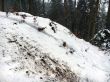 20160120-tramelan-0484.jpg