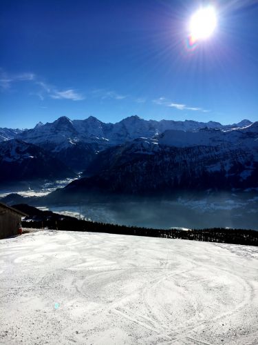 22. Januar 2016
