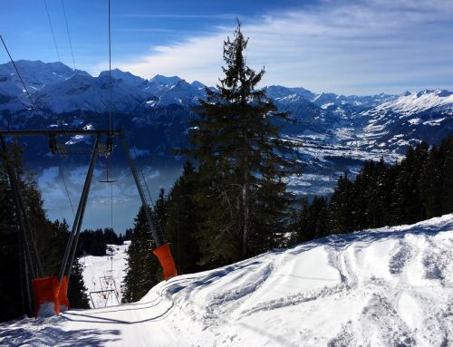 22. Januar 2016
