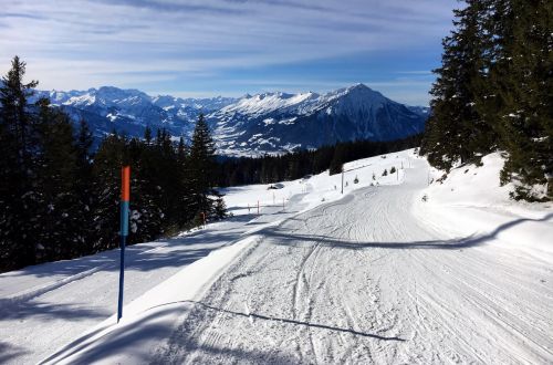 22. Januar 2016
