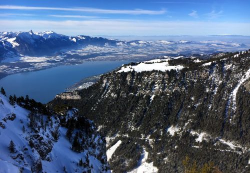 22. Januar 2016
