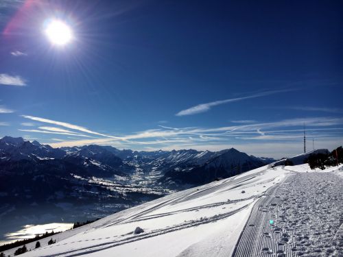 22. Januar 2016
