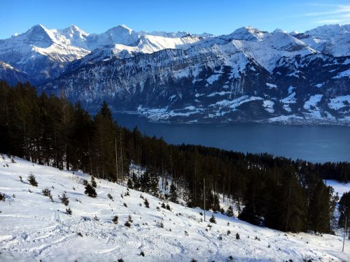 22. Januar 2016

