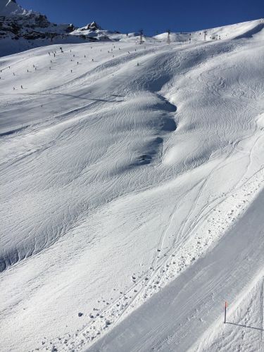 1. Februar 2016
