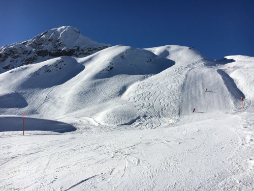 1. Februar 2016
