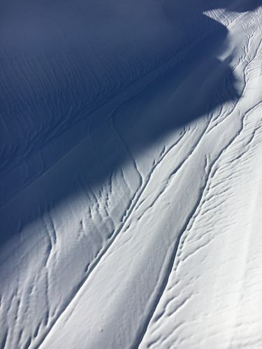 1. Februar 2016
